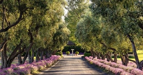 Wine Country Estate, Santa Ynez photo 1